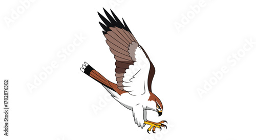 Animated illustration of a hawk descending with wings spread poised to strike its prey isolated against a clean white backdrop