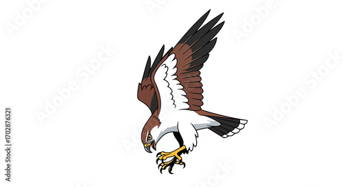 Dynamic cartoon illustration of a brown and white falcon in a hunting dive against a blank white background