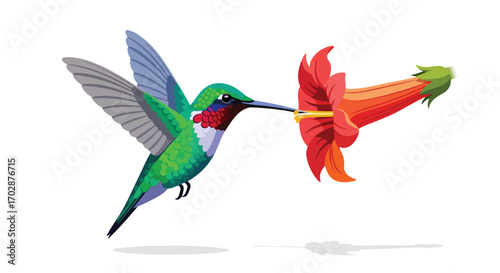 Animated hummingbird hovers gracefully, extracting nectar from a vibrant trumpet-shaped flower in a colorful and detailed illustration
