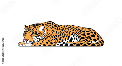 Tranquil feline nap: Detailed illustration of a resting jaguar with intricate spot patterns, showcasing its beauty and peaceful repose