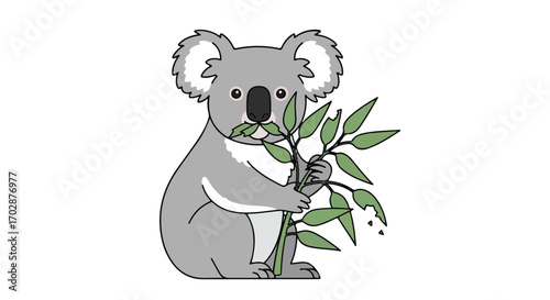 Delightful koala eating fresh eucalyptus leaves isolated on a pristine white background, illustration showcasing australian wildlife with nature's