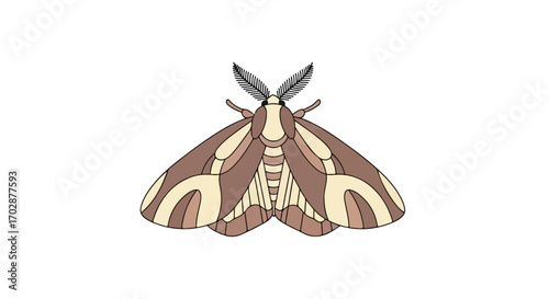 Illustration of a beautiful stylized moth with intricate wing patterns and detailed antennae, set against a plain white backdrop, showcasing