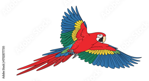 Vibrant illustration of a macaw in mid-flight showcasing its brilliant plumage and dynamic pose creating a sense of tropical elegance and natural