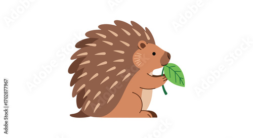 Charming hedgehog character clutching a vibrant green leaf on a clean white background illustration design