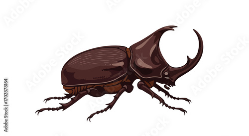 Majestic rhinoceros beetle illustration showcasing its distinctive horn and textured exoskeleton created with digital drawing techniques