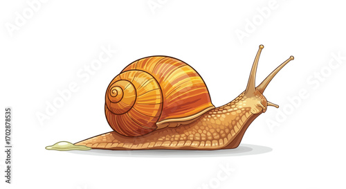 Detailed illustration of a garden snail with its spiraled shell and extended tentacles crawling slowly on a white surface