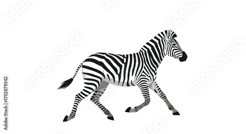 Striking zebra illustration showcasing its black and white stripes with a running action, simple background design displaying wildlife in motion