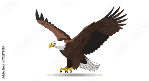 Digital Illustration of a Bald Eagle in Flight with Brown Plumage and White Head Feathers soaring majestically against a blank backdrop