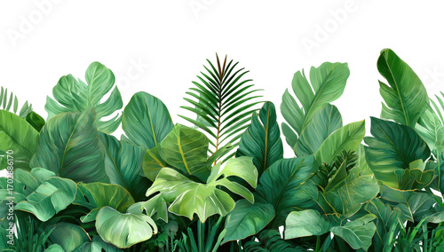 Lush tropical foliage border (9)