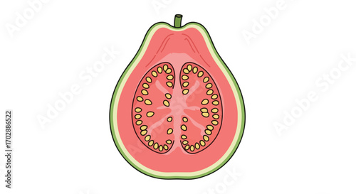 Illustration of a sliced guava fruit revealing its pink pulp and seeds, perfect for food illustration projects or educational materials showing