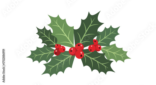 Festive Holly Berries and Leaves Illustration for Christmas and Winter Decorations Designs