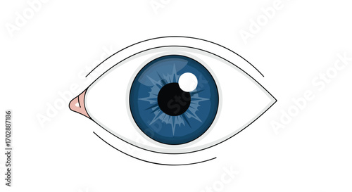 A Simple and Striking Illustration of a Detailed Blue Eye with Clean Lines, Perfect for Graphic Design Projects and Educational Materials