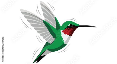 Vibrant hummingbird flight gracefully depicted against a stark white backdrop artwork illustration design graphic vector style design art fly