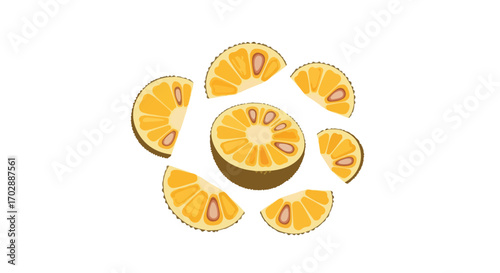 Stylized jackfruit slices arranged on a white background providing a clean and fresh tropical fruit representation for design applications
