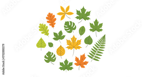 Assortment of stylized leaf illustrations in a circular composition, showcasing diverse shapes and autumnal color variations against a plain white
