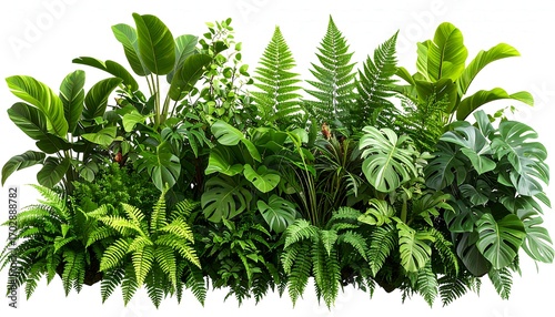 Lush tropical plants in dense grouping