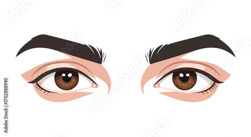Stylized vector illustration showcasing a pair of brown eyes with strong eyebrows and defined eyeliner conveying watchful look