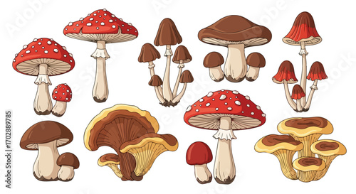 A Diverse Collection of Hand-Drawn Mushrooms Displaying Varied Shapes, Colors, and Textures in a Whimsical Composition