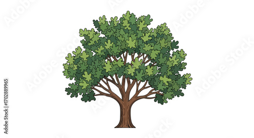 Isolated tree with green foliage, set against a pristine white backdrop providing versatility for graphic design and educational purposes,