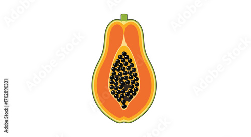 Vibrant vector illustration displaying the inner textures and seed arrangement of a ripe papaya fruit in vivid details