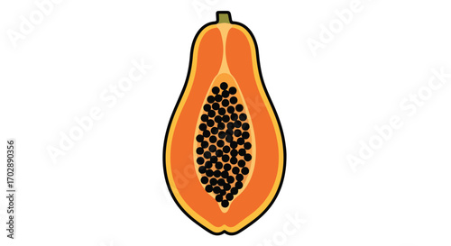 Vibrant Papaya Illustration Showing Flesh and Seeds for Visual Composition Project