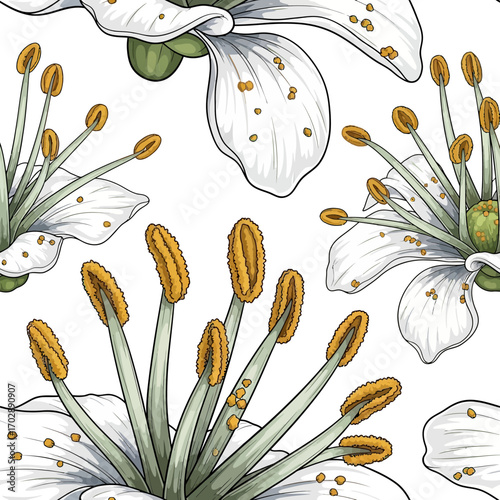 Detailed Botanical Illustration of White Flowers Seamless Pattern.