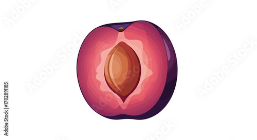 Illustration of a cross-section of a plum showing the vibrant colors and internal pit in meticulous detail artistic plum depiction