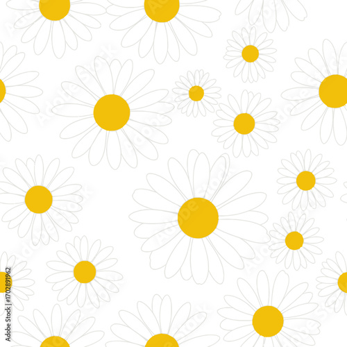 Seamless Daisy Flower Pattern on White Background Illustration.