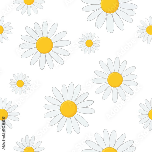 Seamless Pattern with White Daisy Flowers Illustration.