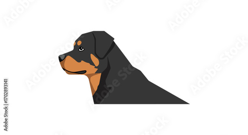 Detailed profile illustration showcasing the iconic rottweiler breed with its distinctive markings and strong build and the white background creates