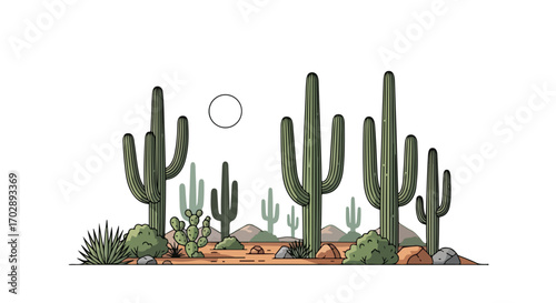 illustration of a desert landscape with tall columnar cacti, small bushes, rocks, and a setting sun under a clear sky capturing arid environment