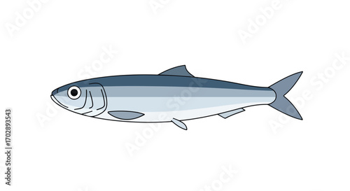 Simplified cartoon style illustration of a gray fish with streamlined body and dorsal fin suitable for educational or children's design contexts