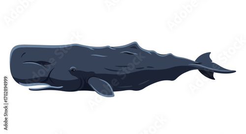 Illustration of a massive deep-sea whale shark with detailed features and realistic shading showcasing marine life and oceanic ecosystems
