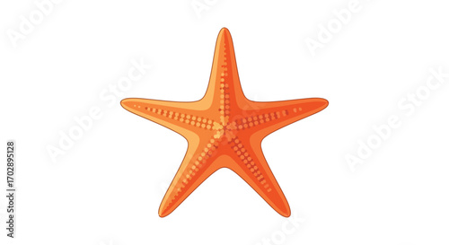 Bright orange starfish with textured surface and five arms, isolated on a plain white background showing detailed pattern and vibrant coloration