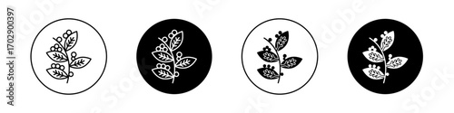 Coffee plant icons vector graphics collection on white background