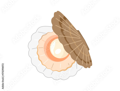 口が開いている茶色い殻付きのホタテ貝のイラスト