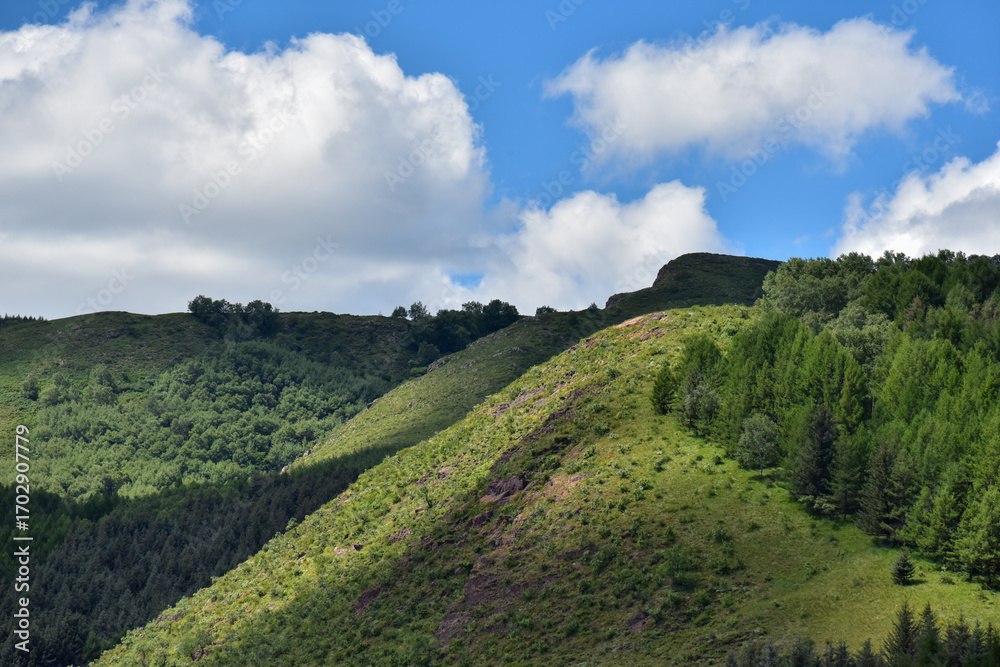 Obraz premium Rolling Green Hills Under a Cloudy Sky