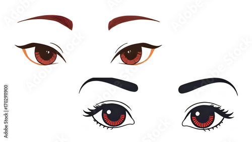 Vector illustration of a woman's face with a stylish set of eyes, lashes, and eyebrows