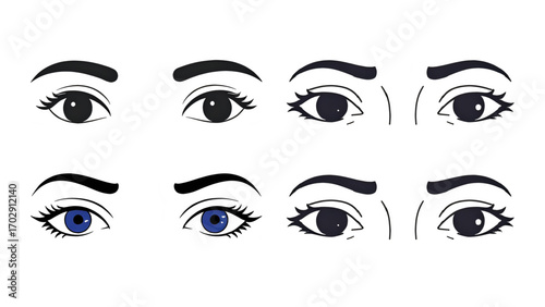 Vector illustration of a woman's face with a beautiful set of brown eyes, fashion makeup, and long eyelashes