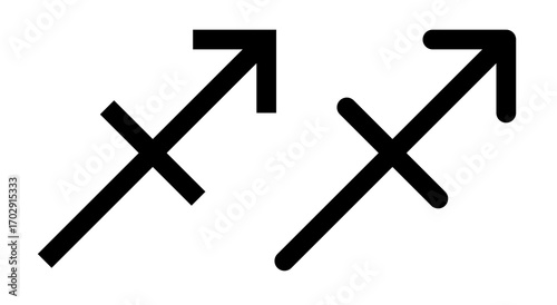 Sagittarius Zodiac Symbol Pair Isolated on White Background
