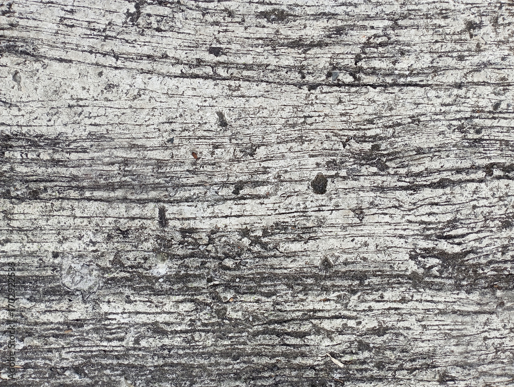 Obraz premium Rough gray texture of cement plaster, cracked floor, rough surface, uneven cement walls