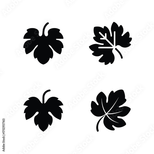 Four Leaf Icons Set Vine Leaves, Grape Leaves, Nature Elements Illustrations