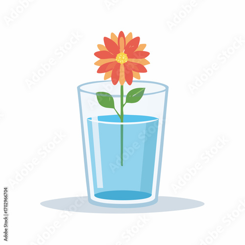 Glass of water with flower isolated on white background floral nature concept