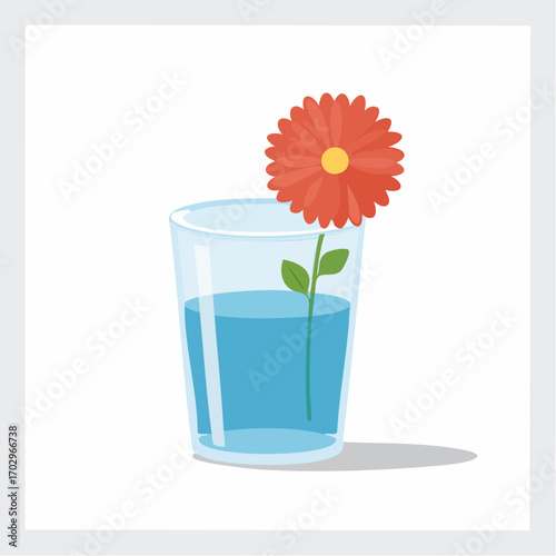 Flower in glass vase with colorful blossoms on white background