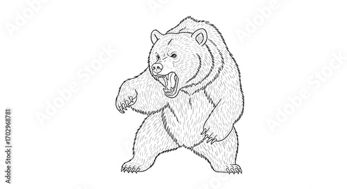 Aggressive grizzly bear roaring with open mouth in outline style