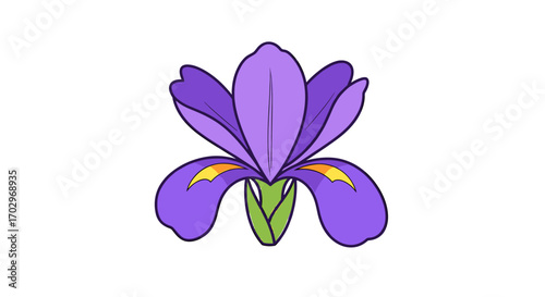 Isolated Cartoon Iris Blossom on White Background for Design
