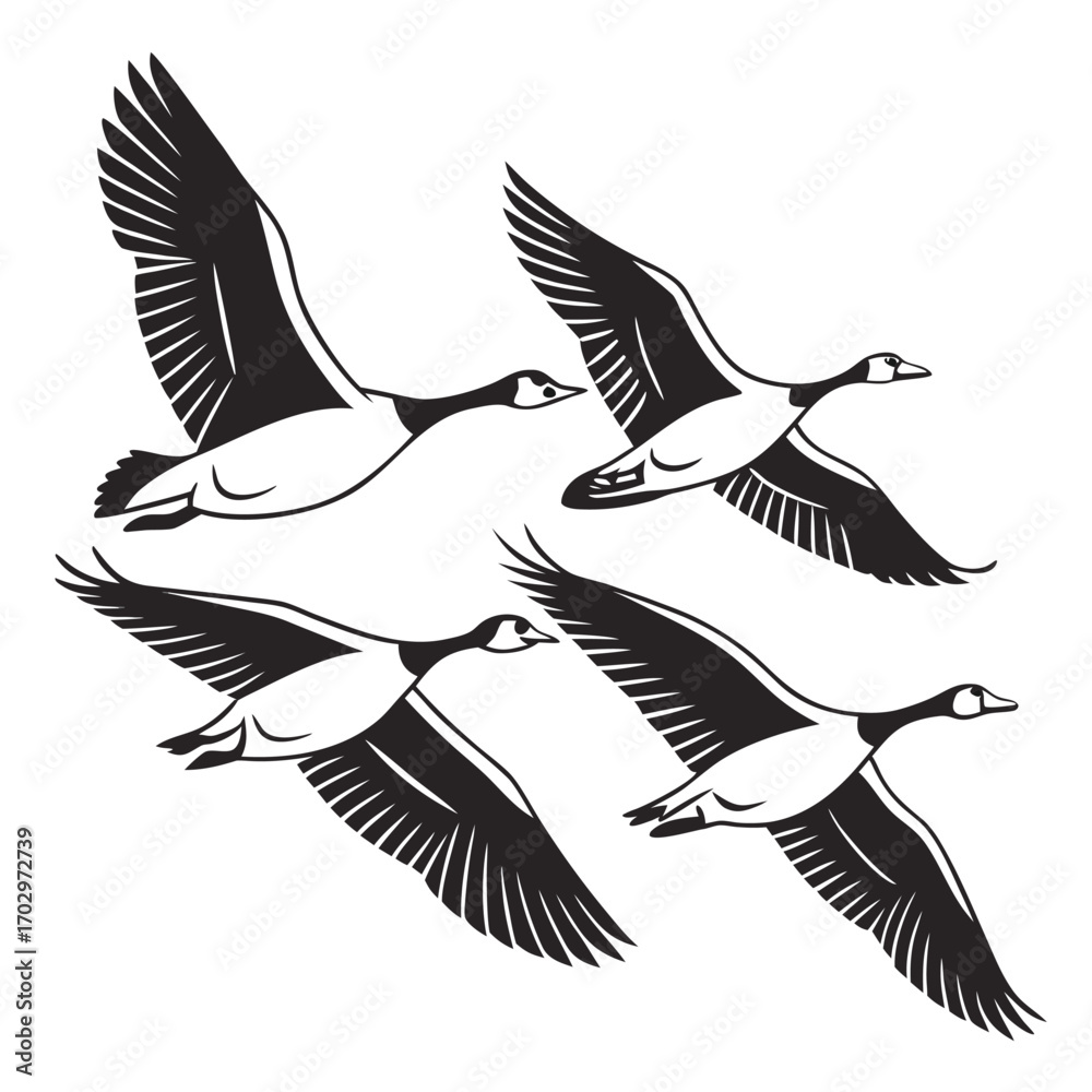 Obraz premium A Flock of Geese Flying