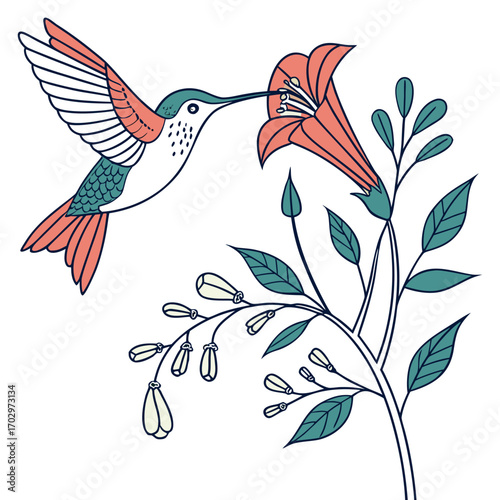A Hummingbird Feeding on a Flower