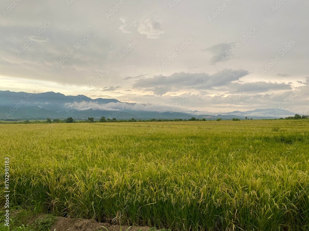 Fototapeta premium Esperanza