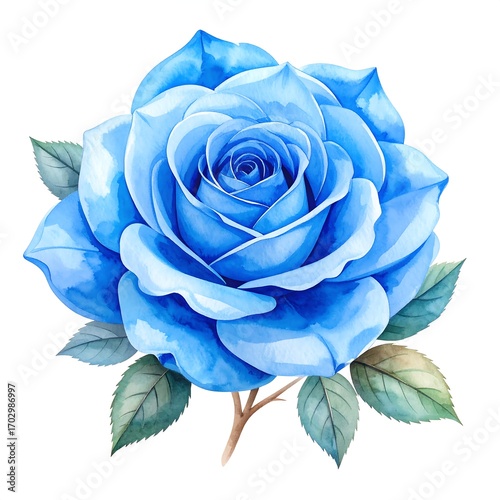Vibrant blue rose illustration (1)